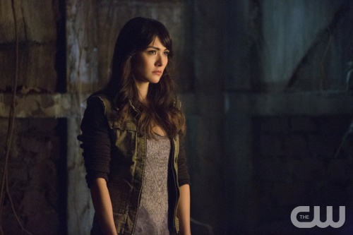 The Originals: Julie Plec explica porque mudou o final feliz de Klaus e  Caroline [SPOILER]