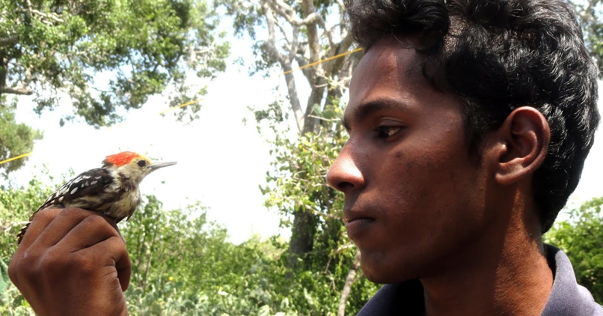 The Young Biologist Qualities of a good field biologist.