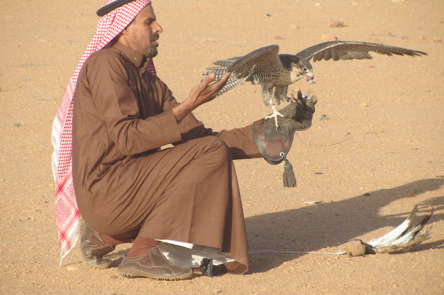 Falconry-Saudi-Arabia
