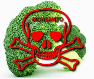 Monsanto consigue la patente del brócoli