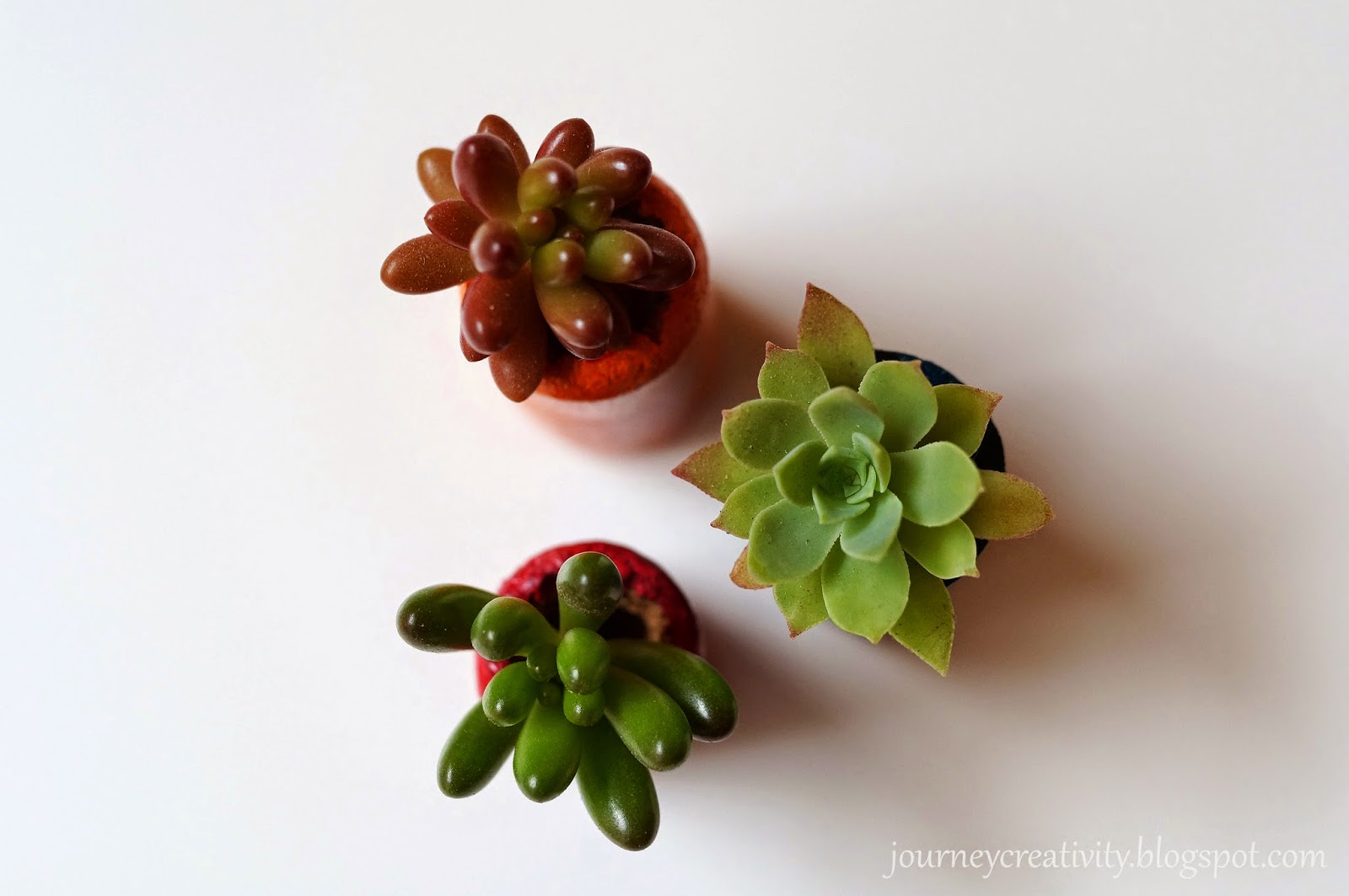 Cork flower pots Journey into Creativity