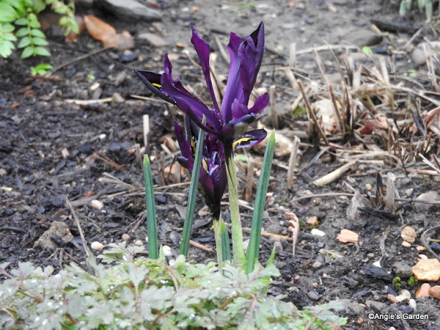 12 Best Garden Solutions Images Garden Solutions Garden Farm