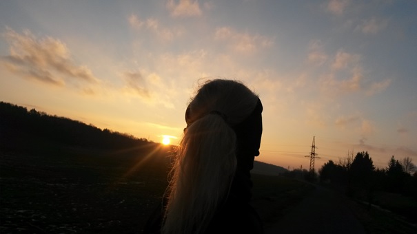 Runtasia Infokanal Wer Schnell Laufen Mochte Muss Langsam Laufen