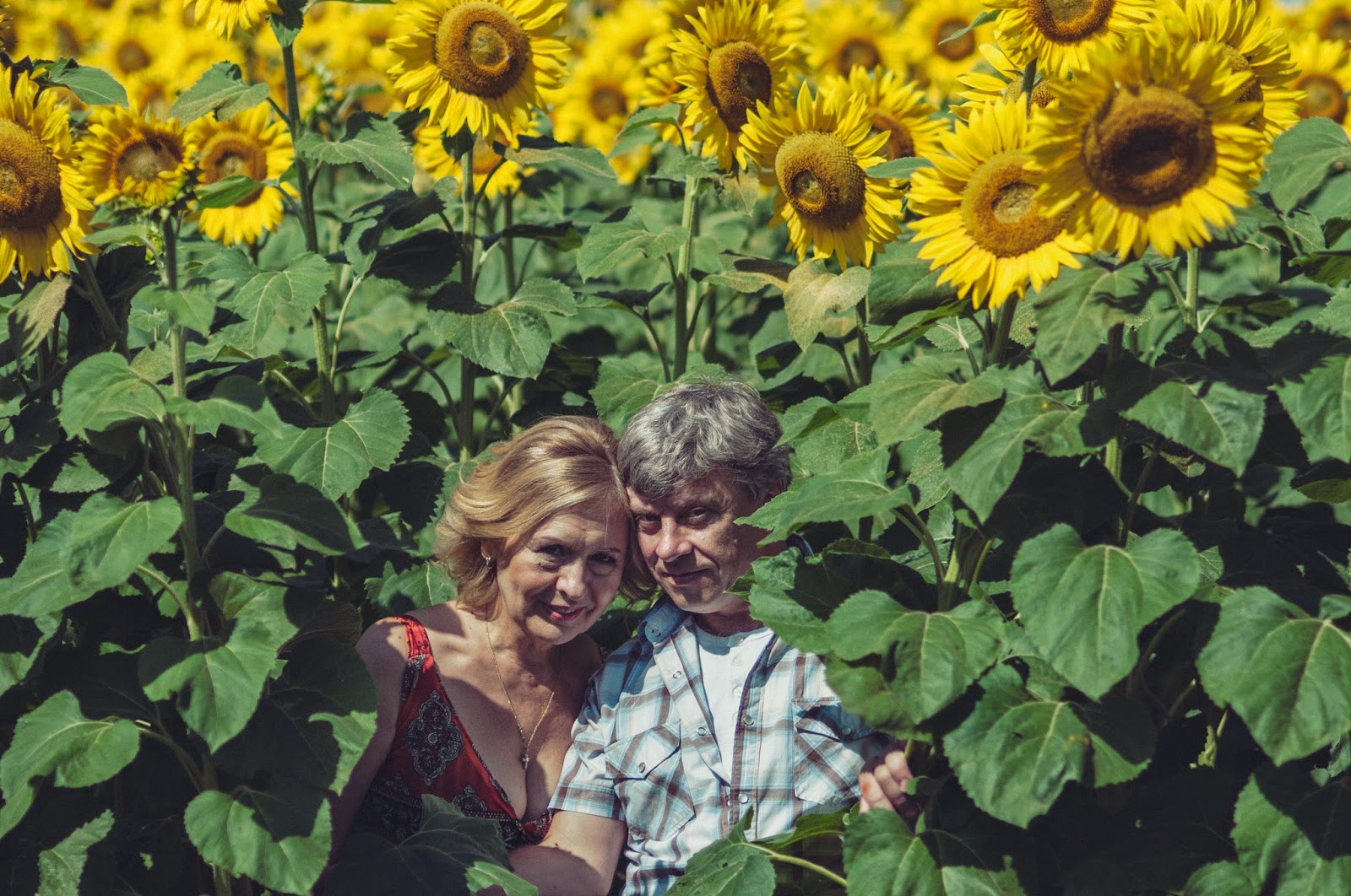 Olga&Sergey lovestory_8 семейный фотограф, предсвадебная фотосессия, летняя фотосессия, свадебный фотограф в Киеве, свадебная фотосессия, свадебные фотографии, съемка в поле