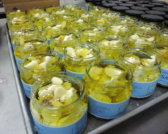 The Cheeselover The Australian cheese scene part 1 Yarra Valley Dairy