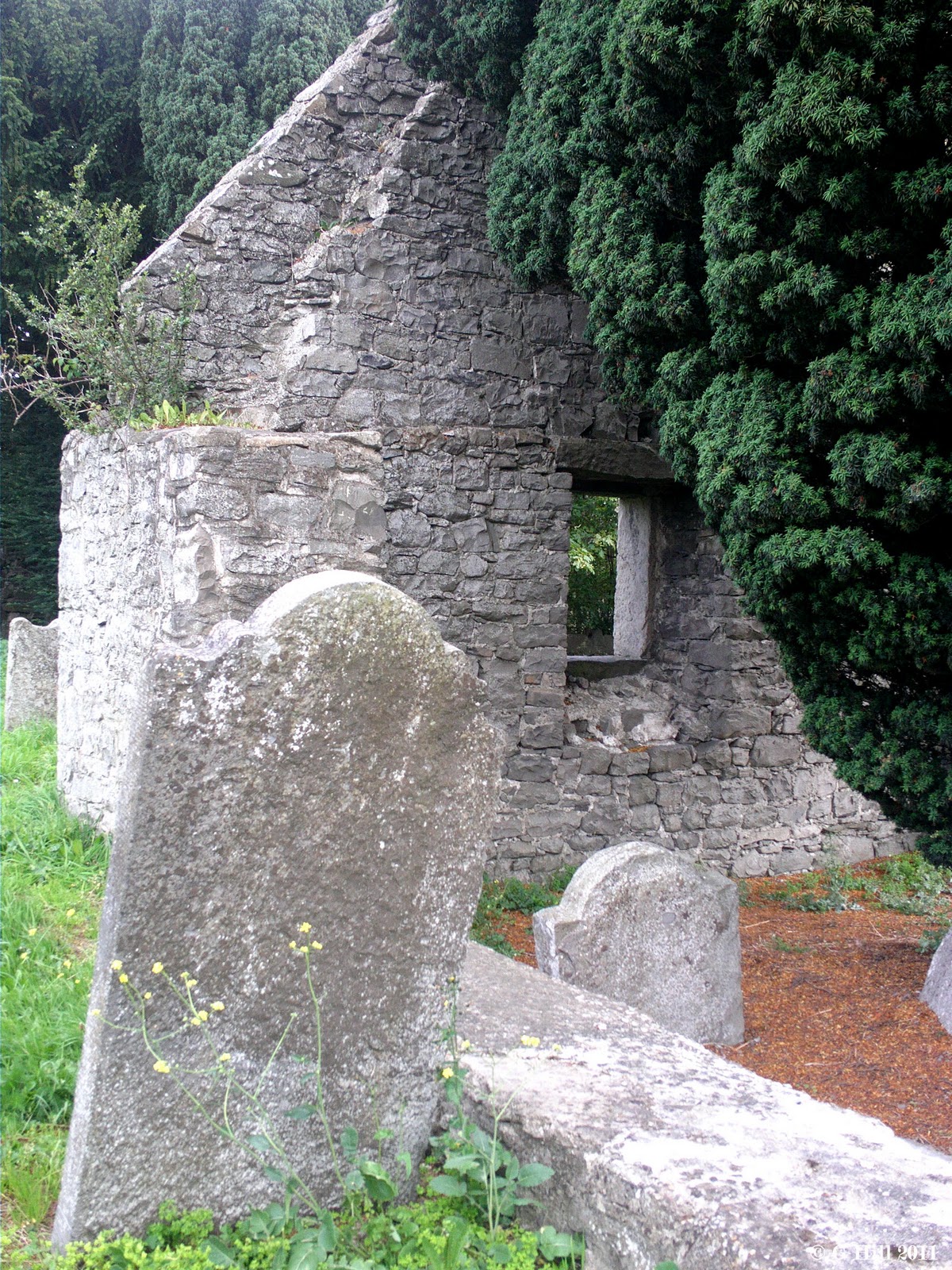 Ireland In Ruins Old Templeogue Church Co Dublin
