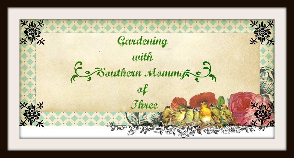 Gardening With Southern Mommy of Three