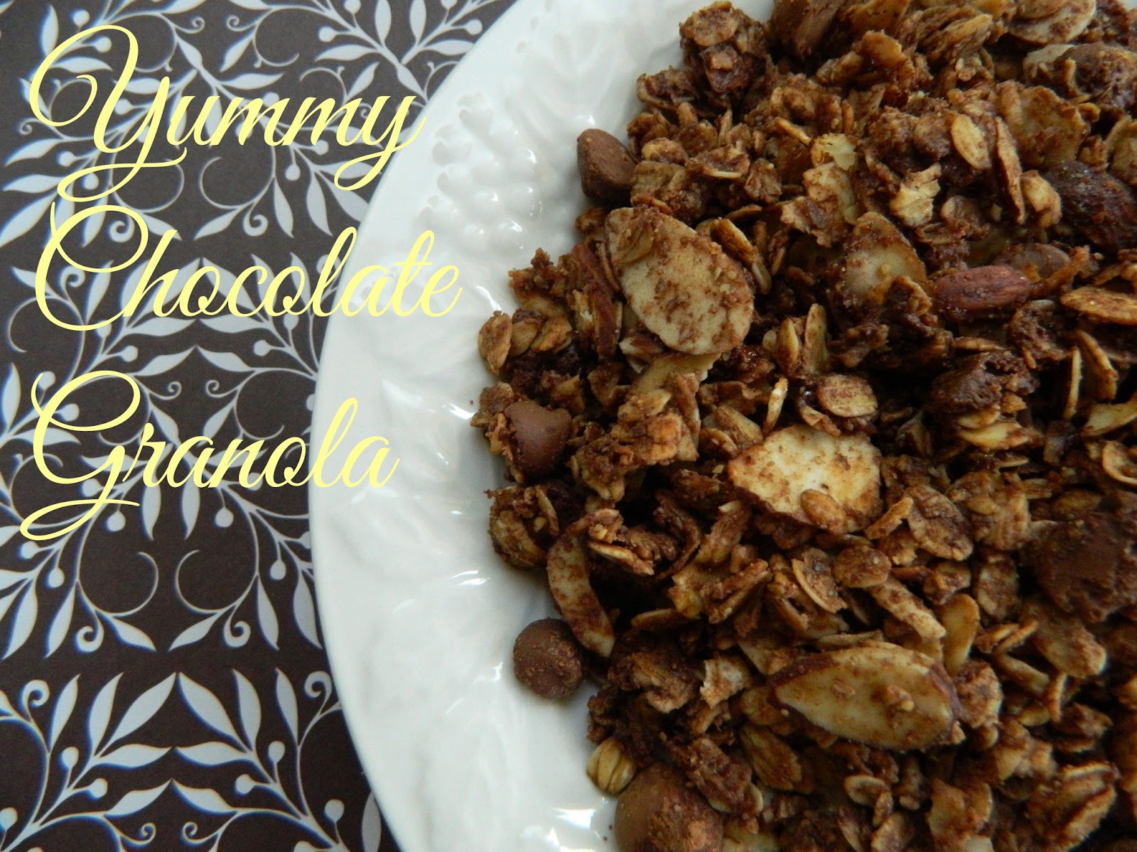 My Favorite Things Yummy Chocolate Granola