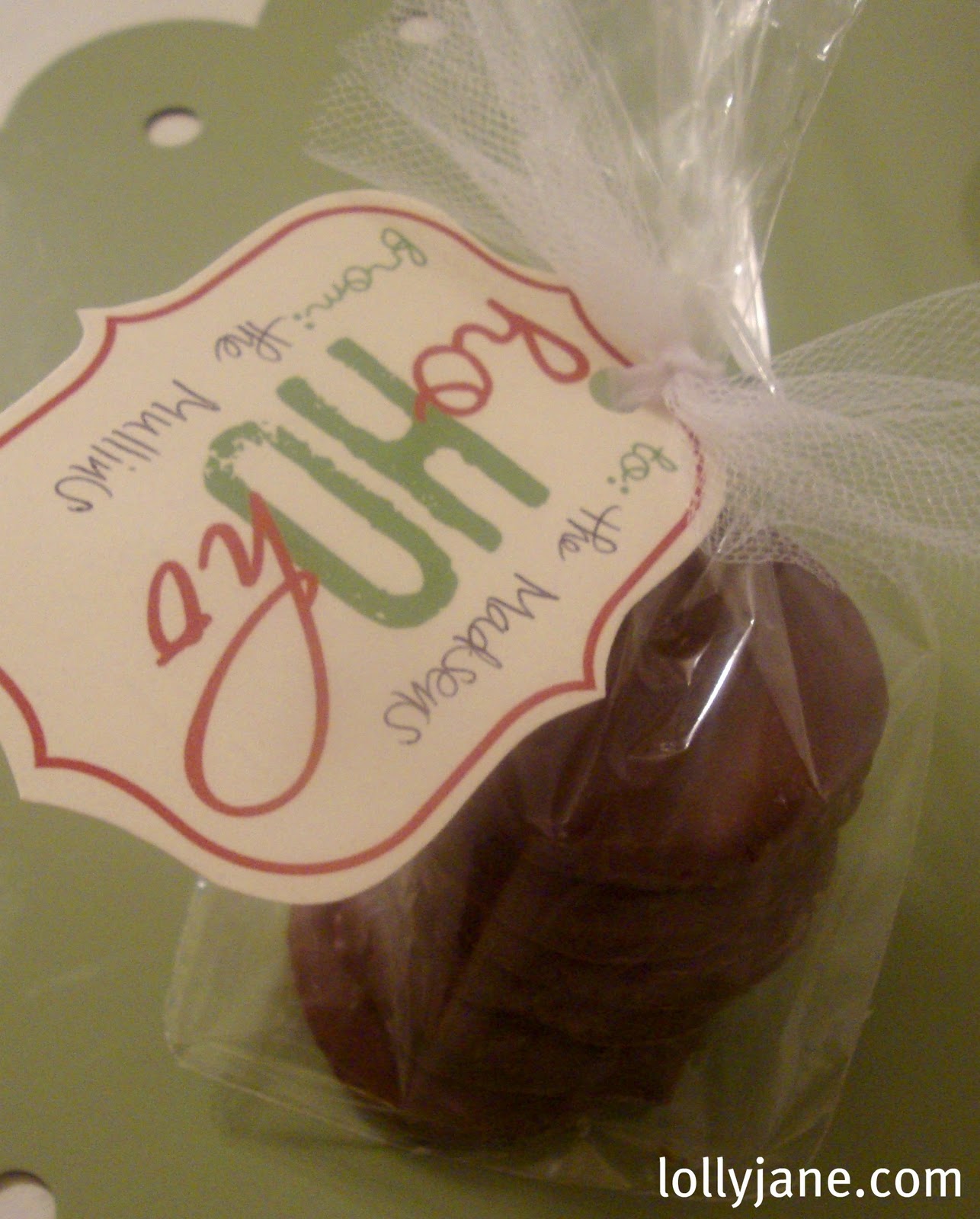 Lolly Jane Craft tutorials & DIY home decor Homemade Thin Mint Girl Scout Cookies