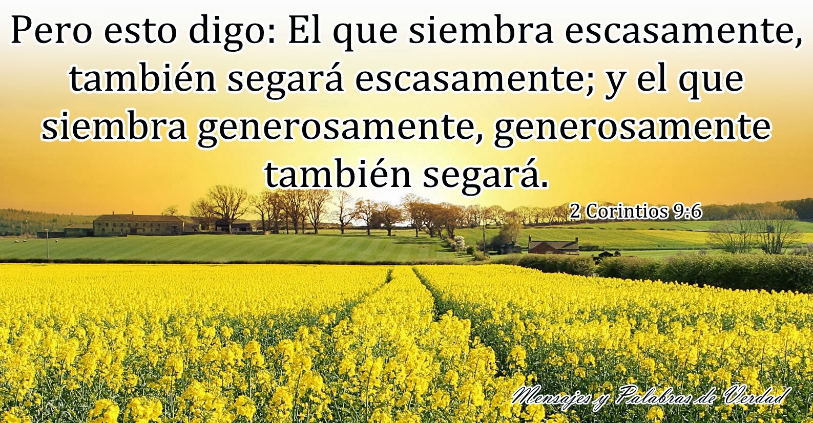 alimentos que provocan migra a a dios sea la gloria alimentos que provocan migra a a dios sea la gloria
