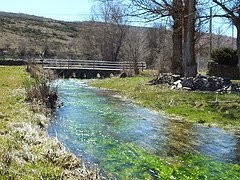 Guía Viejo Camino de Santiago