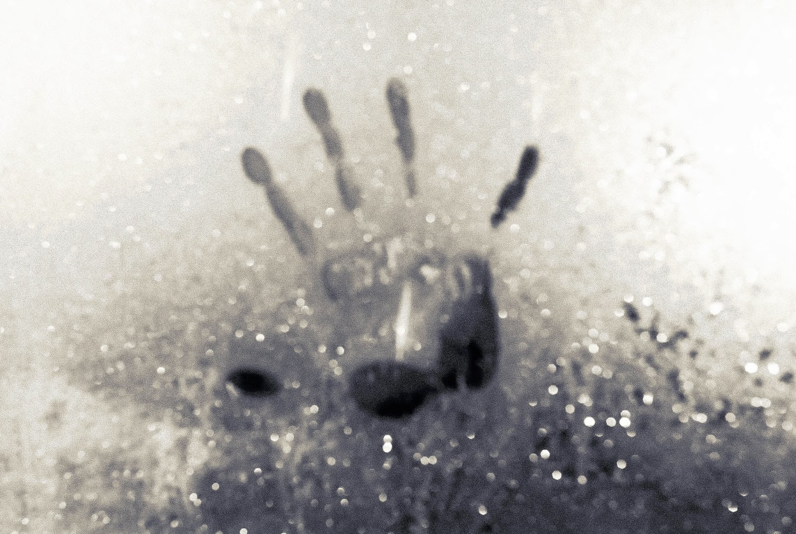 Fundstucke Dezember 2013