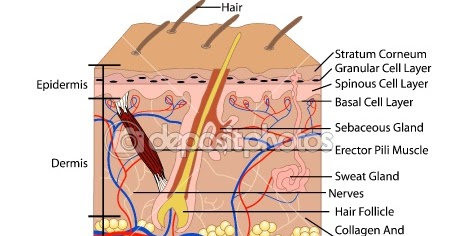 WELCOME TO UN NANBAN BLOG