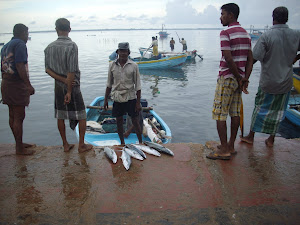 Arrival of fresh fish catch at Jaffna Port jetty.