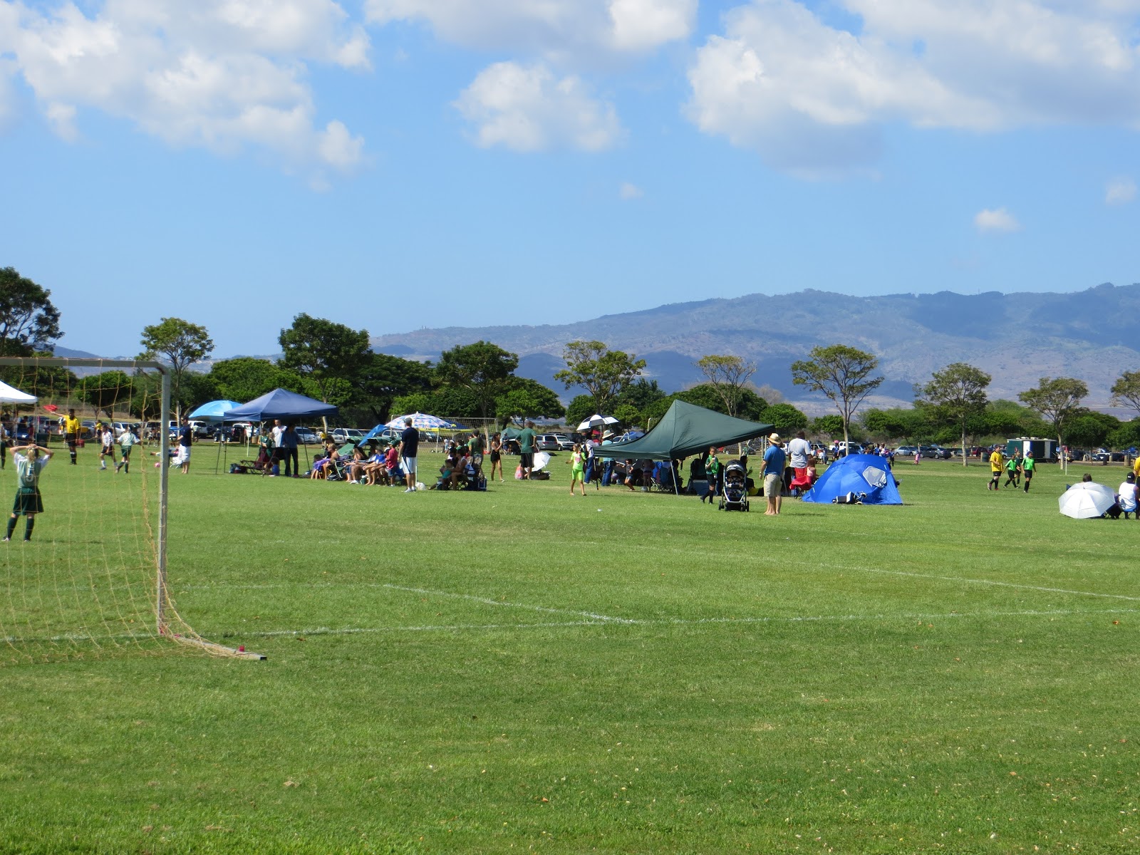 Travel Bug Soccer Winners! Sat., Nov. 3