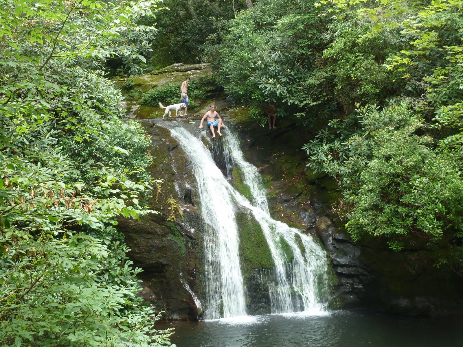 Wanderdipity Forest Roads & High Shoals Trail Day 3 in North
