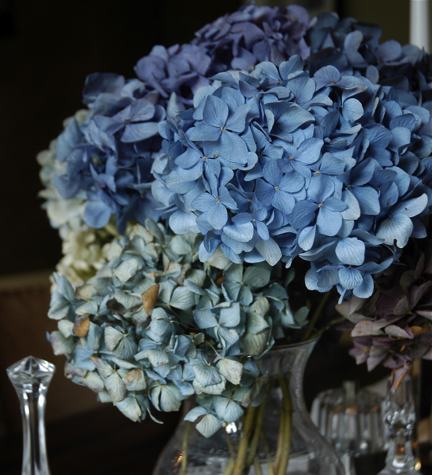 Love Like Crazy Dried hydrangeas