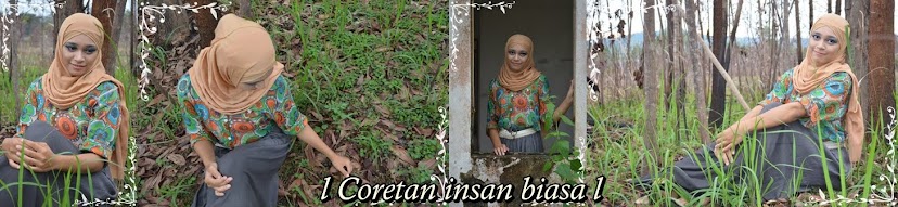 Coretan Insan Biasa