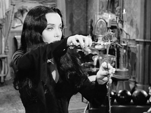 Morticia.jpg