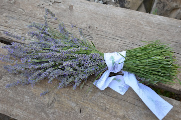 my lavender