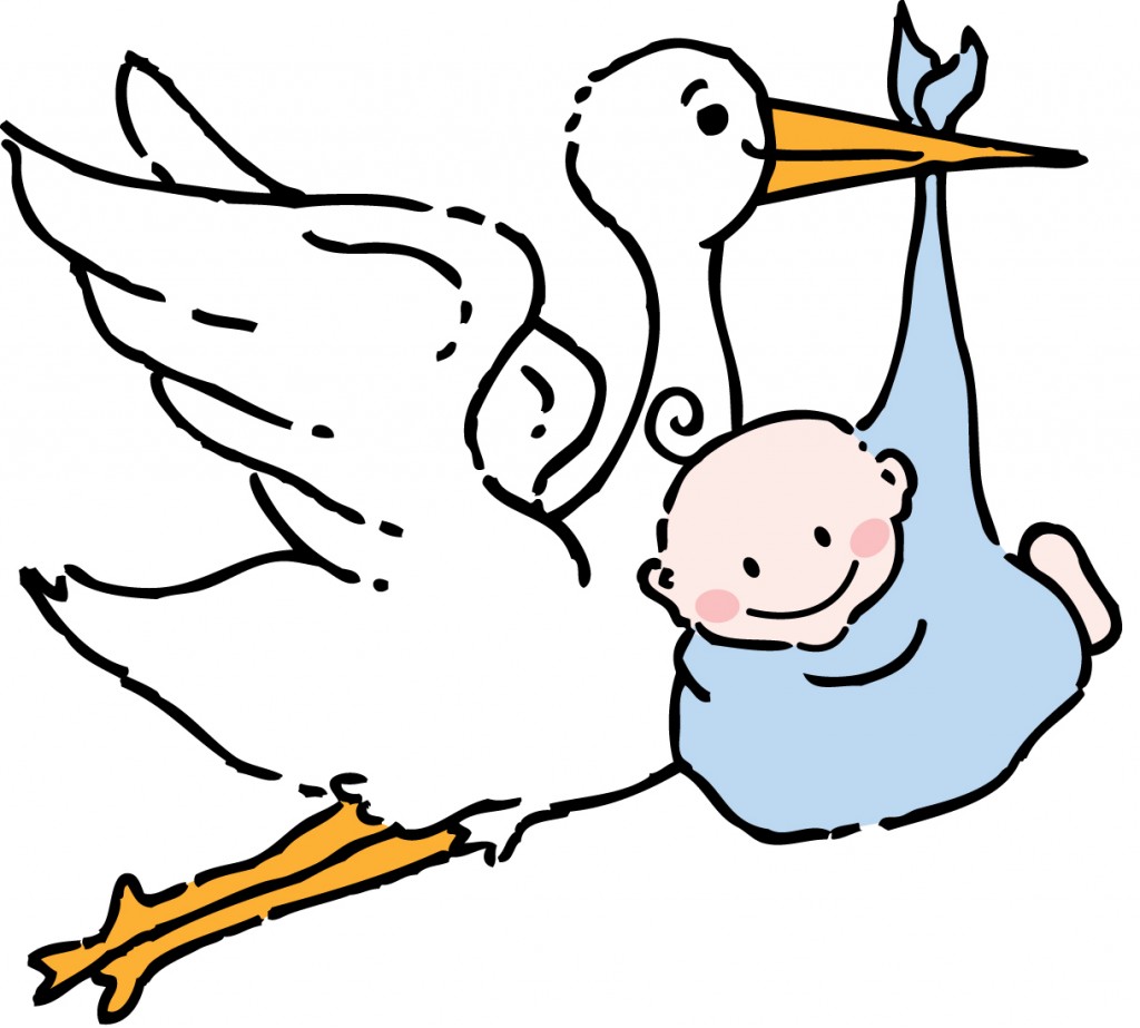 http://2.bp.blogspot.com/-3pUspeMIbT8/UL1UZ5zBq1I/AAAAAAAAS44/hujx_hp-XM0/s1600/the+stork+has+arrived.jpg