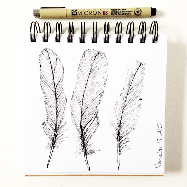 daily sketchbook, sketchbook, feathers, micron pen, pen drawing, Anne Butera, My Giant Strawberry