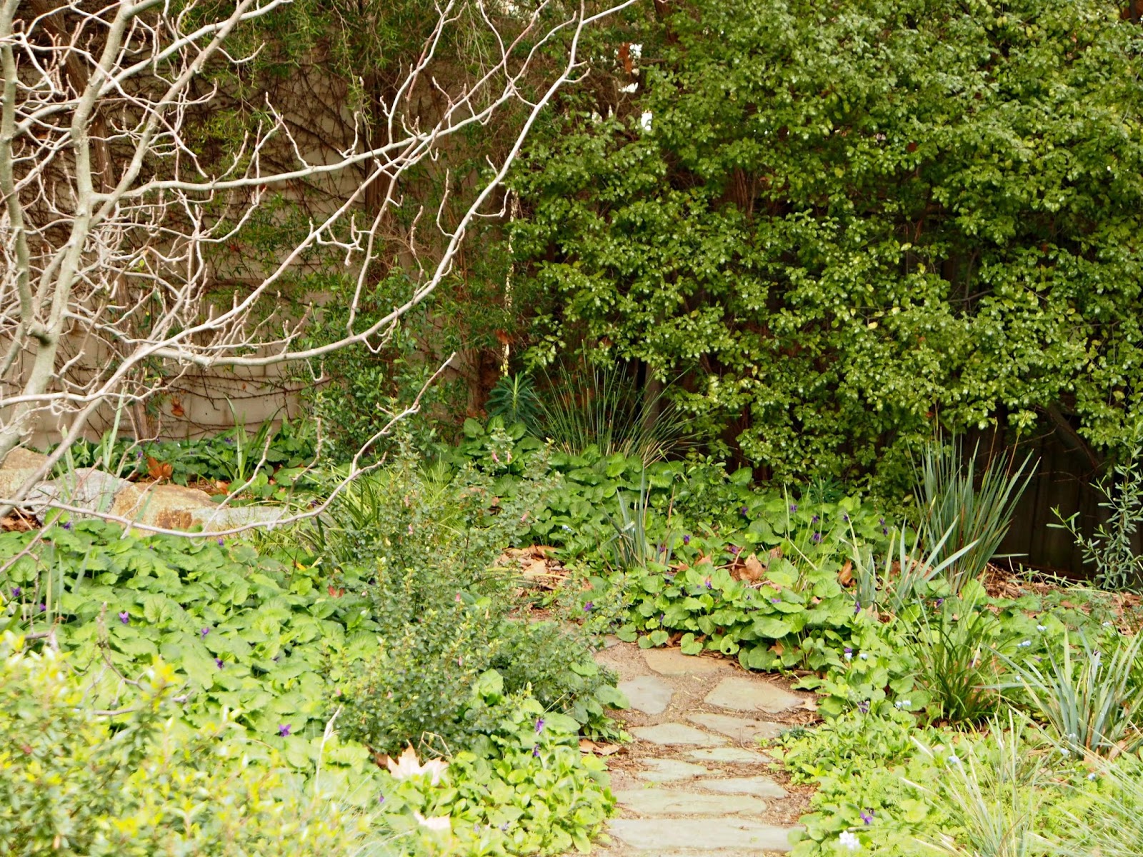 DIY garden design