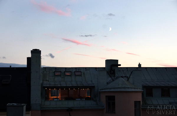 Photo by Alicia Sivertsson, 2015.