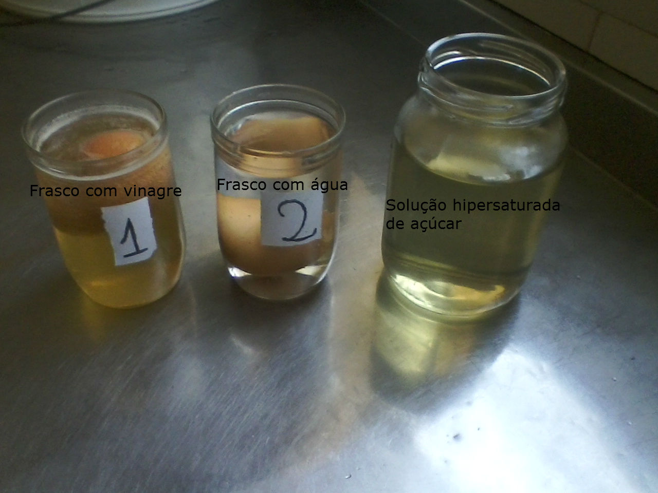 Eco-Amigos: Experimento: Osmose 