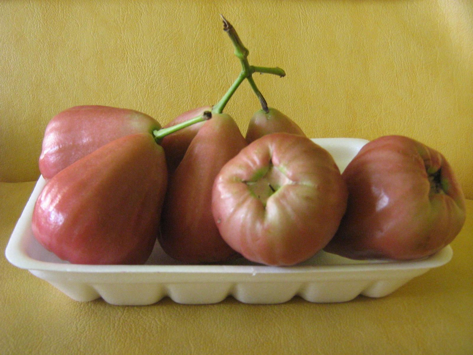 Bibit Buah Bunton Malang: Macam - macam Jambu Air