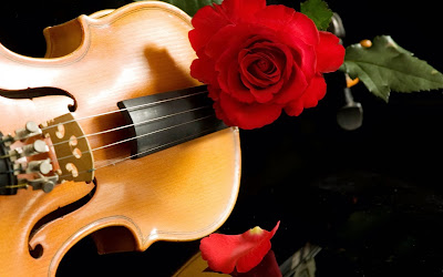 flower guiter love hd wallpaper