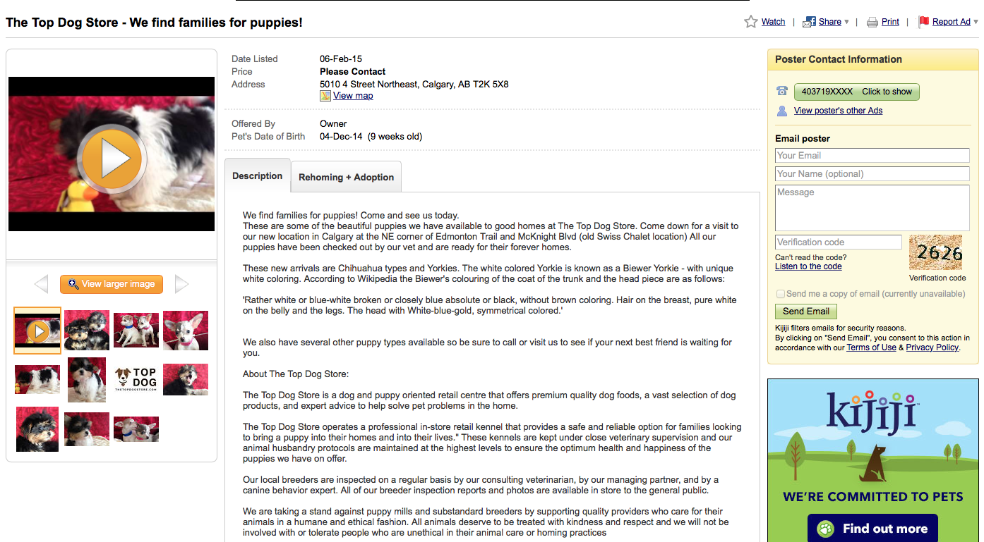 Puppy Mills Exposed The Top Dog Store Selling Puppies Online