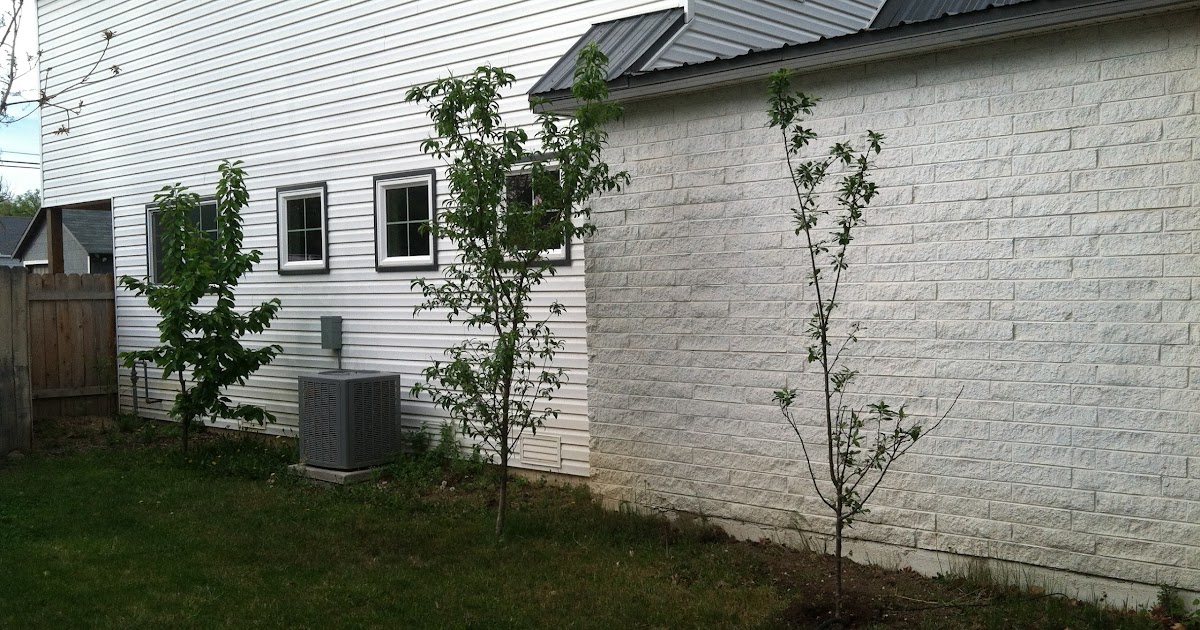 A Marmie Life: Espalier Fruit Trees