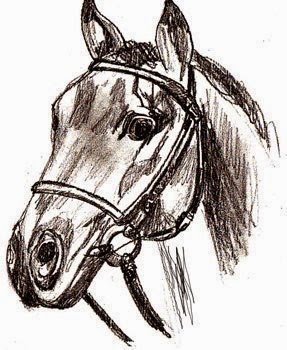 رسم حصان بقلم رصاص للمبتدئين Dz Fashion