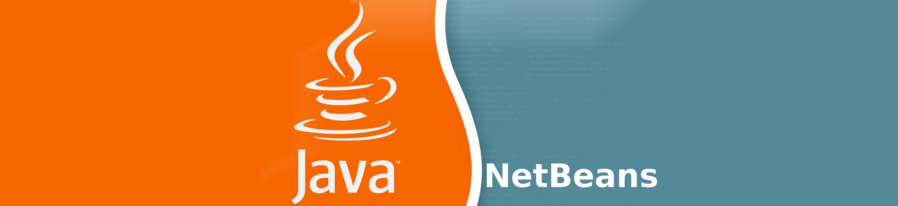Java + Netbeans.