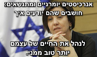 אנרכיה - זהבה גלאון