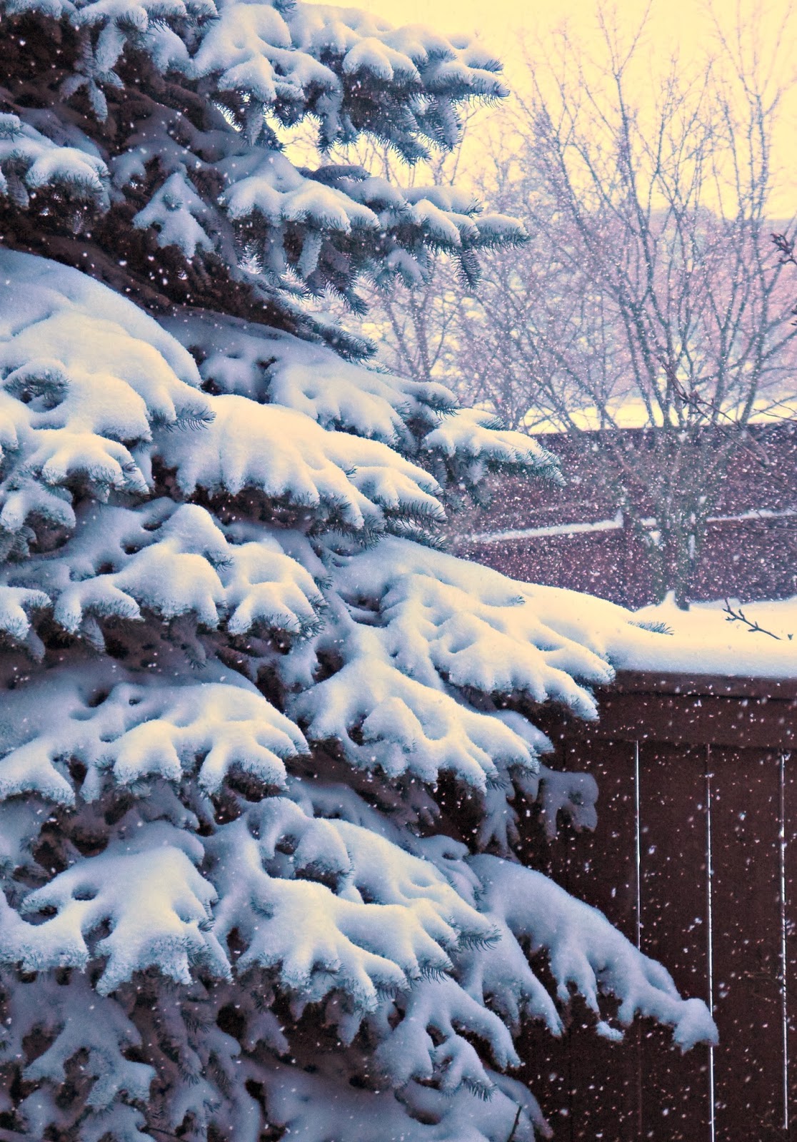 Sense and Simplicity Aluminum Foil Birds