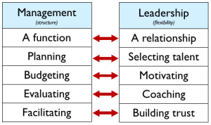 qualities of team leader