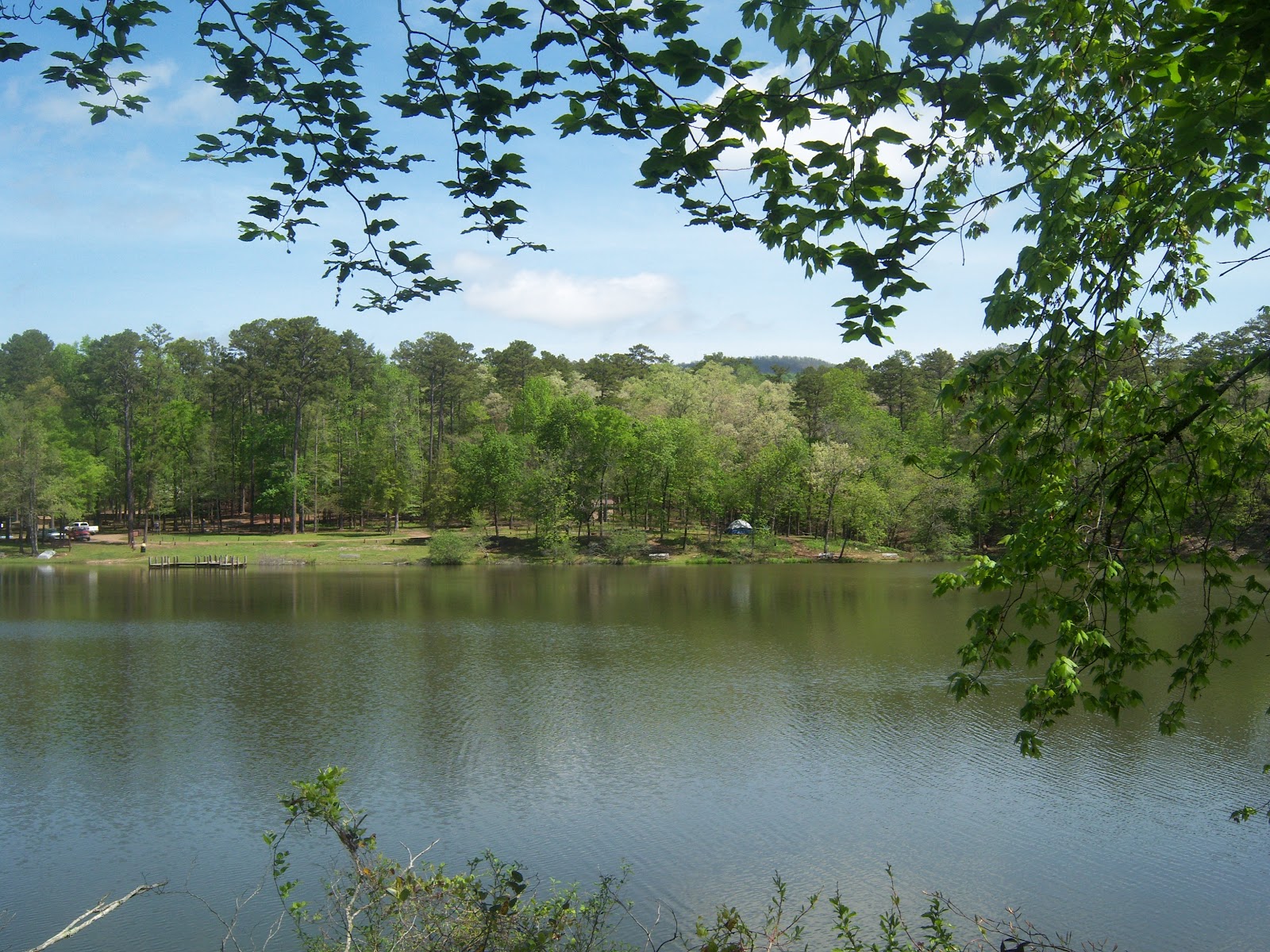 Chicagoland Greenery Shady Lake in Ouachita National Forest, Arkansas