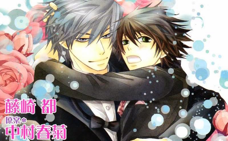 Rin Shouta S Blog Deeesu Behind Junjou Romantica