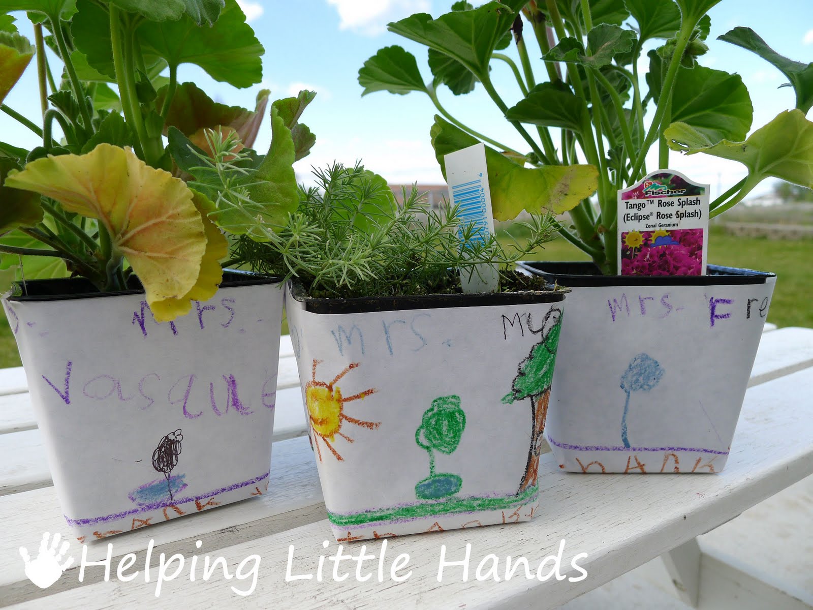 Pieces by Polly Colored Freezer Paper Flower Pot Wrap Great for Moms and Teachers!