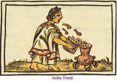 Aztecs Farming