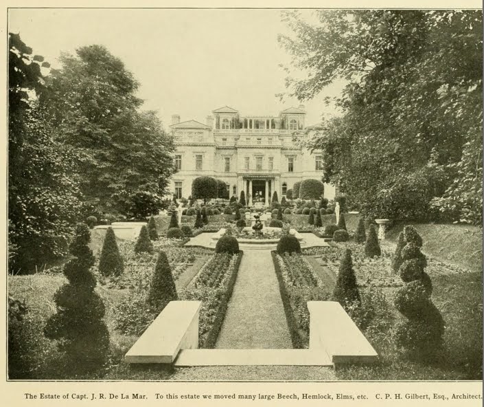 Old Long Island 'Pembroke'