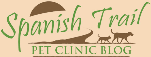 Spanish Trail Pet Clinic