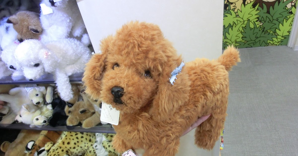 Pets & Animals in Japan (Part 1)