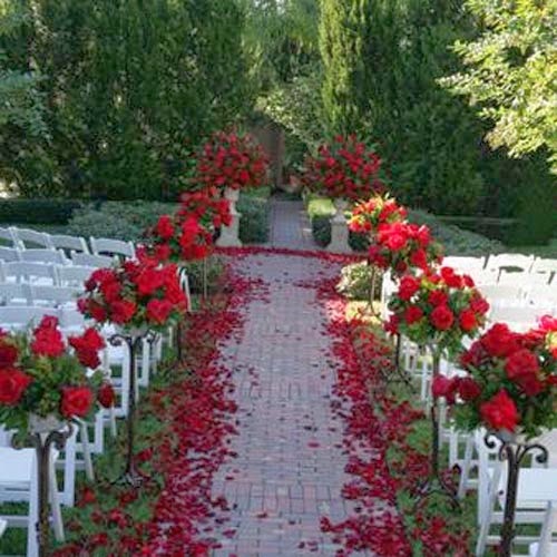 Wedding Decoration Rose