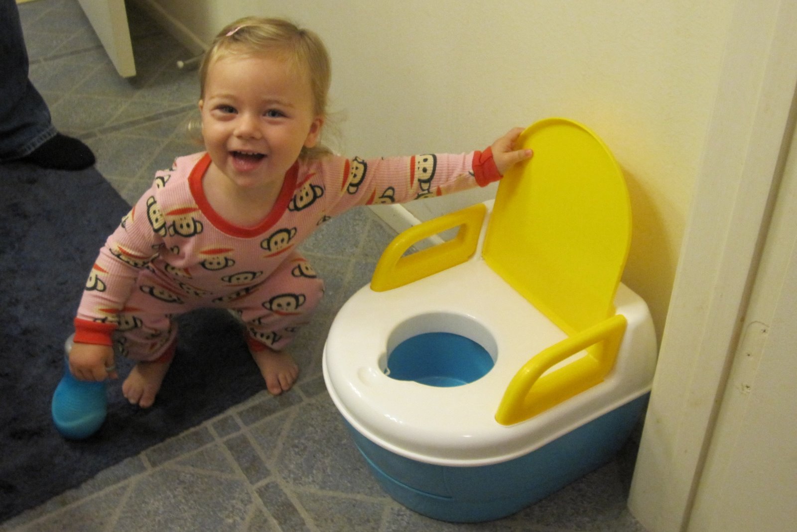 Mini Tipdawg Blog Getting To Know The Potty Chair!
