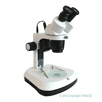 Stereo microscope with dual magnification.
