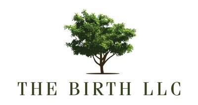 THE BIRTH LLC