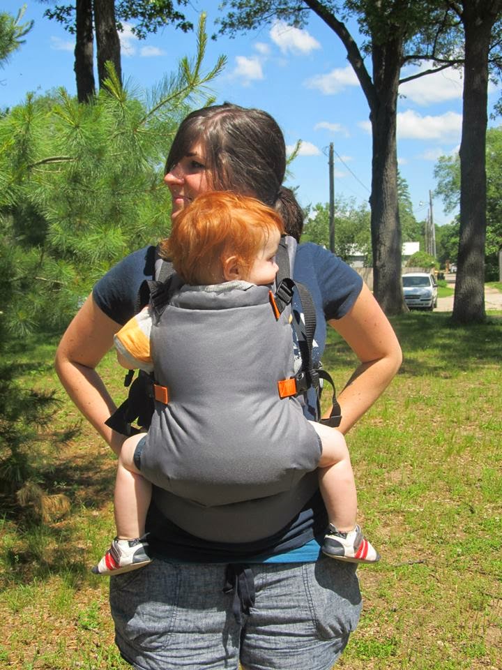 infantino union carrier